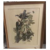 Woodpeckers by James Audubon Plate CXL