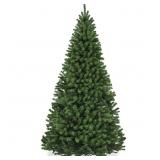 6 ï¿½ Carolina Spruce Tree