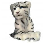 White Tiger Cub