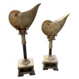 Pair Shell Design Home Decor