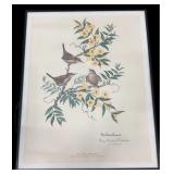 Anne Worsham Richardson Signed, Numbered & Framed