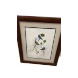 Framed, Signed E Dudley Williams Bird Print