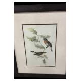 23.5 x 28 ï¿½ Framed Bird Prints