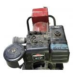 Estate Briggs & Stratton 8 HP Dayton Generator