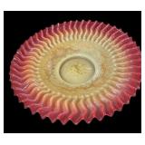 11.5 ï¿½ Vintage Ruffled Edge Multicolor Bowl