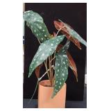 Faux Polka Dot Plant