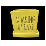 TAE DUNN SOAKING UP RAYS PLANTER