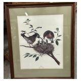 20.5 x 24.2 ï¿½ Framed Ray Harm Print ï¿½Robinï¿½