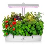 New Hydropnic Garden