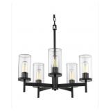 New Black 5 Dome Chandelier (Retail 299.)