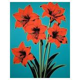 Amaryllis Pop III Limited Edition by Pop Ave