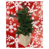 New Lighted Potted Tree