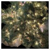 25 ï¿½ Lighted Garland