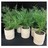 (5) PCS Five Artificial Potted Ferns