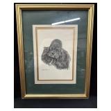 Jan Jellins 1977 Framed Print  of Poodle Dog