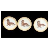 Baby SEAL Animal Plate Collection