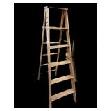WERNER 6  Wood Ladder