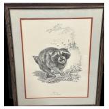 Framed Juvenile Raccoon Print