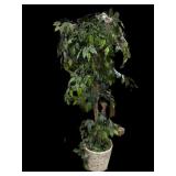 Faux Inside Tree