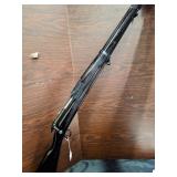 Color Guard Fake Gun