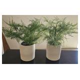 Artifical Plants