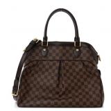 Louis Vuitton Damier Ebene Trevi GM Bag