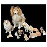 (12) Collie Dogs