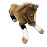 Pony