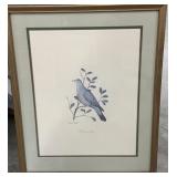 John Ruthven, Signed & Framed Blue Ground Dove