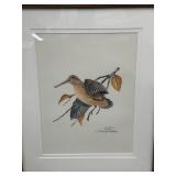 Signed & Numbered Bird Prints by WD Gaither