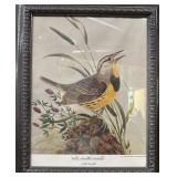 Framed John Ruttner Eastern Meadow Lark