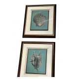 Pair Seashell Prints