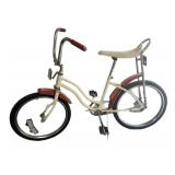 Cactus Rose Bike