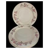 (4) Eggshell Nautilus Plates
