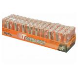 TOCEBA RICH 60 Count AA Batteries