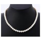 Jewelry Akoya Pearl Necklace