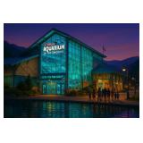 Ripleys Aquarium LTD EDT Canvas by Studio Van Gogh