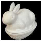 Rabbit on the Nest