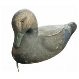 Duck Decoy