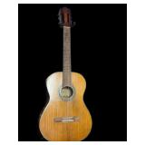 Kingston Guitar