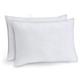 Claritin 2 Pack Allergen Resistant Pillows