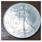2005 Colorized American Silver Eagle