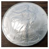 2006 Colorized American Silver Eagle