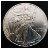 2005 Colorized American Silver Eagle