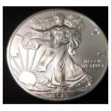 2020 American Silver Eagle