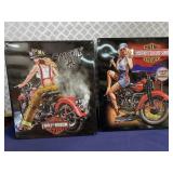 (2) Harley Davidson  Metal Signs