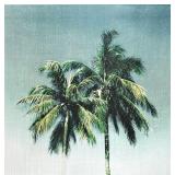 14" X 14" Palm Tree Canvas Art