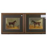 The Bay Hunter Browning I/II