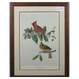 Cardinal Grosbeak by John J. Audubon