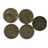 Collection (5) Better Buffalo Nickels